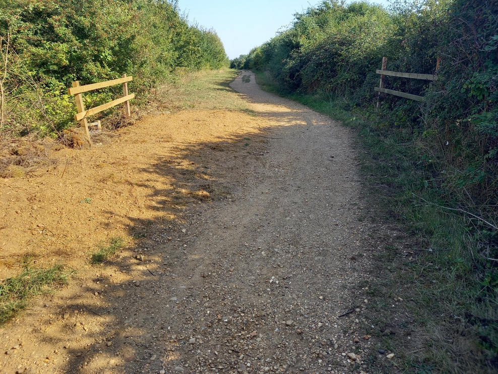 Making tracks in Cambourne Wildlife Trust for Beds Cambs & Northants